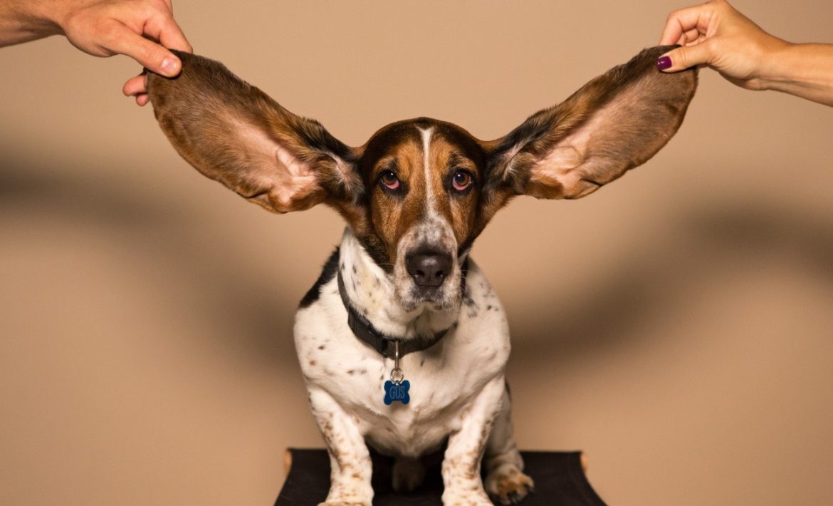 Become A Better Listener | Phenomenal Image